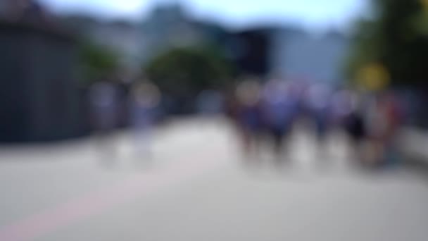 Blurred Video Downtown Wellington City Waterfront View Capital New Zealand — 图库视频影像