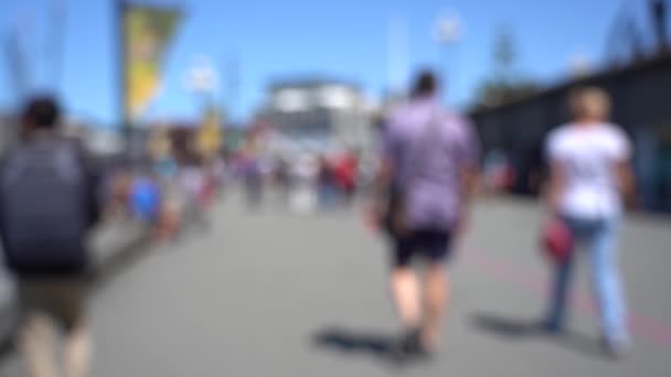Wazig Video Van Downtown Wellington City Uitzicht Het Water Hoofdstad — Stockvideo
