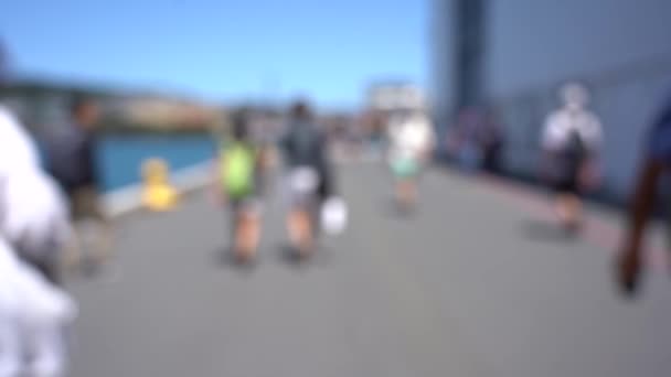 Blurred Video Downtown Wellington City Waterfront View Capital New Zealand — Stok video