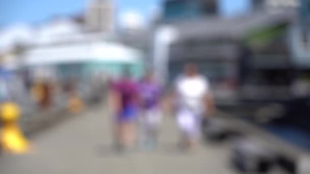 Blurred Video Downtown Wellington City Waterfront View Capital New Zealand — Stock Video