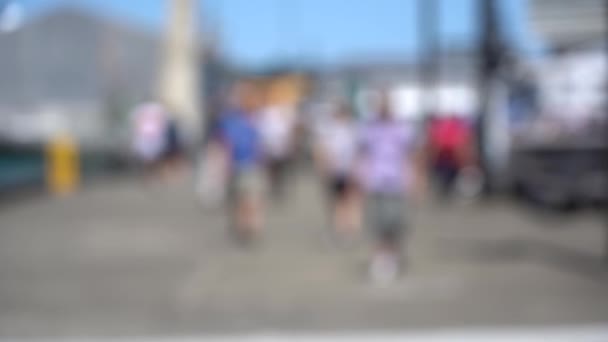 Затьмарене Відео Берегової Лінії Міста Веллінгтон Столиці Нової Зеландії Повільний — стокове відео