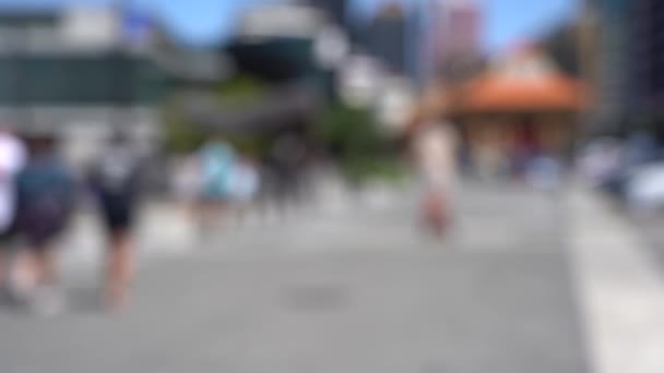 Video Kabur Dari Pusat Kota Wellington City Pemandangan Tepi Laut — Stok Video
