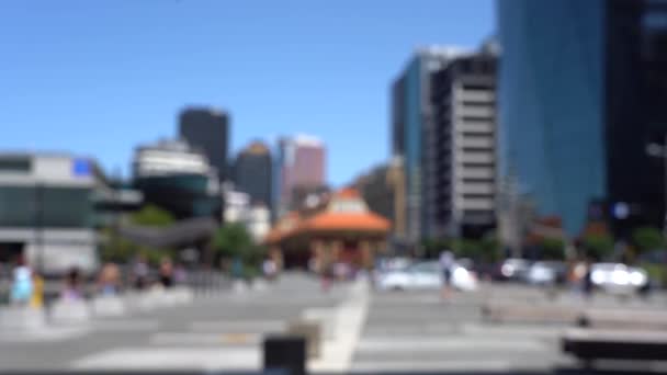 Vídeo Borrado Downtown Wellington City Vista Para Mar Capital Nova — Vídeo de Stock