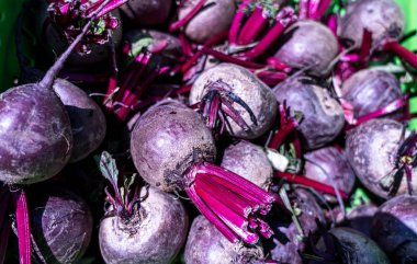 Taze toplanmış pancar kökü yakın plan; yiyecek arka planı