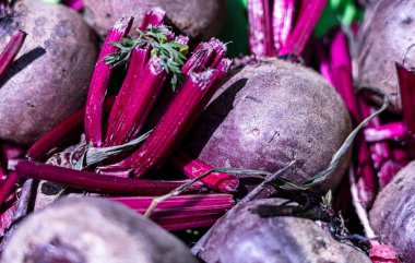 Taze toplanmış pancar kökü yakın plan; yiyecek arka planı