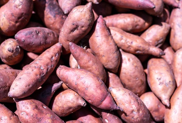 Pile de patates douces ou fond Kumara — Photo