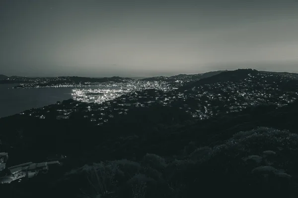 Wellington harbor cityscape at night after sunset; black and whi — ストック写真