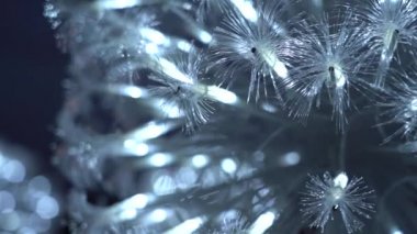 Optical fiber light; slow motion background