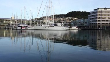 Wellington Harbour Waterfront View; 4K