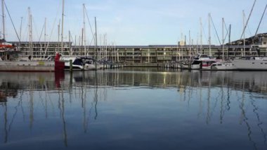Wellington Harbour Waterfront View; 4K