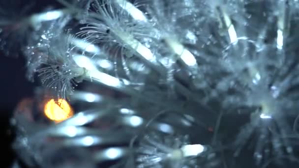 Optical fiber light; slow motion background — Stok video