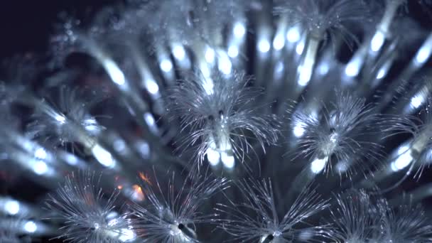 Optical fiber light; slow motion background — ストック動画