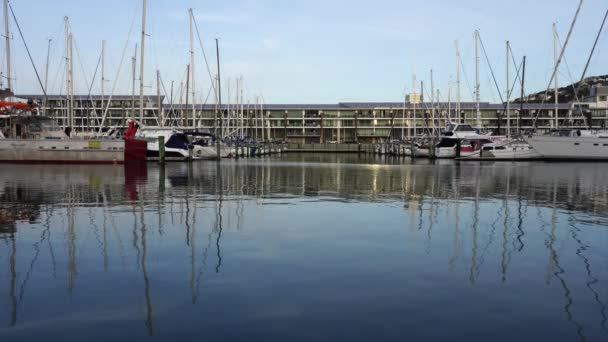 Wellington Harbour Waterfront View; 4k — Vídeo de Stock