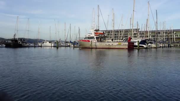 Wellington Harbour Waterfront View - Time Lapse — Vídeo de stock