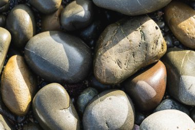 Smooth Round Pebble; Natura Background. Textures