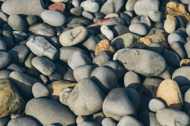 Smooth Round Pebble; Natura Background. Textures