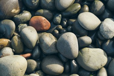 Smooth Round Pebble; Natura Background. Textures