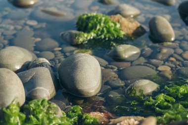 Smooth Round Pebble; Natura Background. Textures