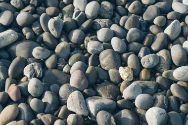 Smooth Round Pebble; Natura Background. Textures