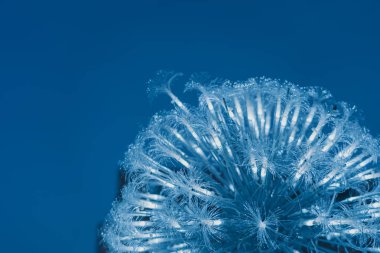 Işıklı optik iplik demeti; arkaplan veya dokular