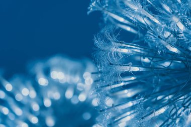 Işıklı optik iplik demeti; arkaplan veya dokular