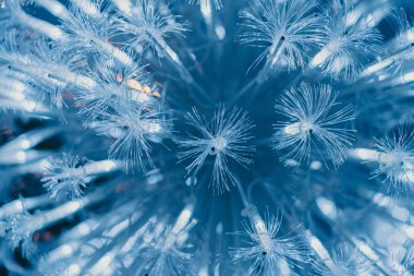 Işıklı optik iplik demeti; arkaplan veya dokular