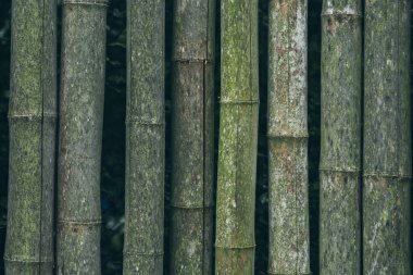 Arkaplan için bambu; klasik biçim