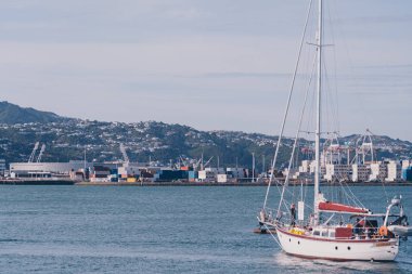 Wellington City şehir merkezi rıhtım manzarası