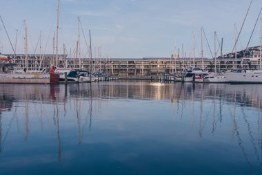 Wellington City şehir merkezi rıhtım manzarası