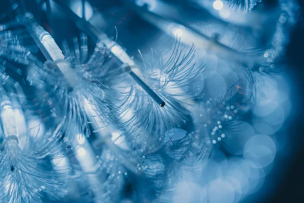 Bundle of optical fibers with lights ; background or textures — Stock Photo, Image