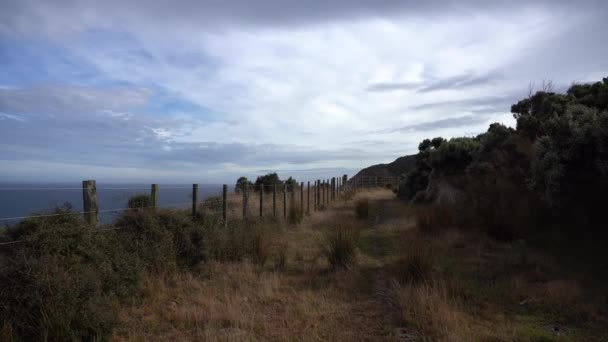 Nature Landscape New Zealand Video — Αρχείο Βίντεο