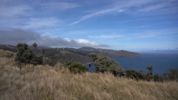 Nature Landscape New Zealand Video — Αρχείο Βίντεο