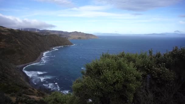 Nature Landscape Selandia Baru Video — Stok Video