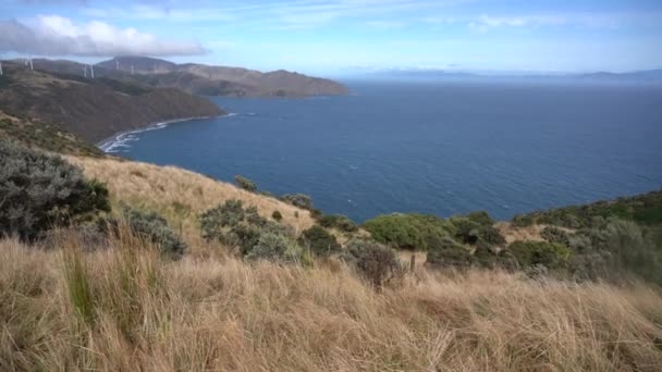 Natureza Paisagem Nova Zelândia Vídeo — Vídeo de Stock