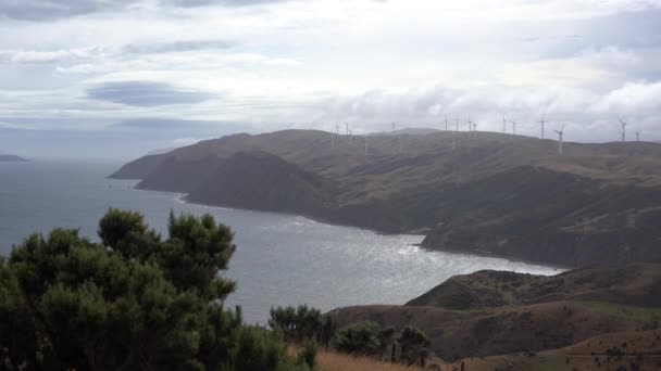 Nature Landscape New Zealand Video — 비디오