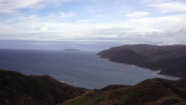 Nature Landscape New Zealand Video — стокове відео