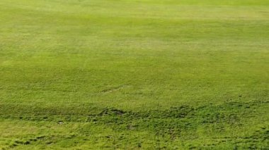 Artificial grass football field; Slow motion