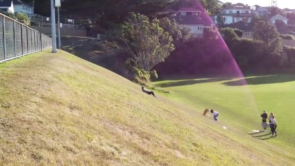 Movimento lento das pessoas caminham no parque durante um belo pôr do sol — Vídeo de Stock