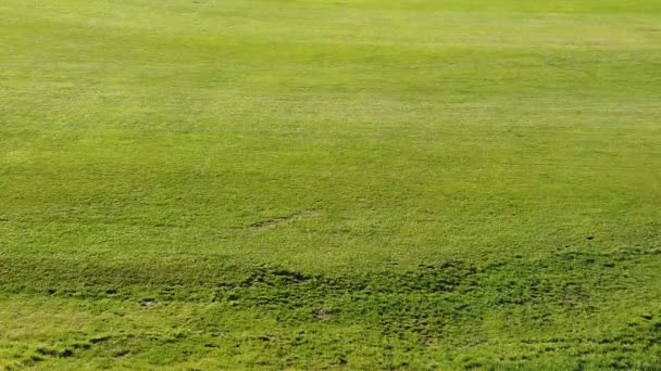 Campo de futebol de grama artificial; câmera lenta — Vídeo de Stock