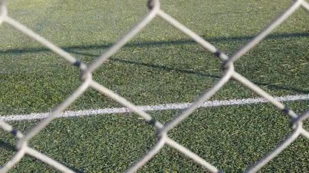 Campo di calcio in erba artificiale; Movimento lento — Video Stock