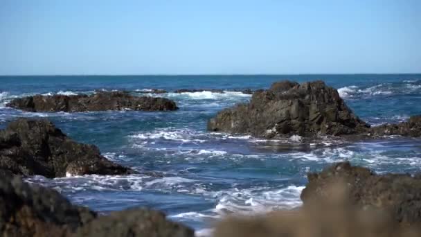 新西兰的海景 新西兰海滩上的海浪冲撞 — 图库视频影像