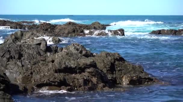 Zeegezicht Van Nieuw Zeeland Golven Crash Het Strand Nieuw Zeeland — Stockvideo