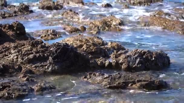 Wybrzeże Nowej Zelandii Waves Crash Beach Nowej Zelandii — Wideo stockowe