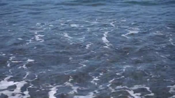 Seascape Nya Zeeland Vågor Krasch Stranden Nya Zeeland — Stockvideo