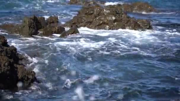 Zeegezicht Van Nieuw Zeeland Golven Crash Het Strand Nieuw Zeeland — Stockvideo