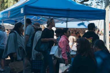 Wellington, Yeni Zelanda, 07 Mart 2020: Rotary Martinborough Fuarı 2020; İnsanlar açık hava pazarında güneşli günün tadını çıkarıyorlar