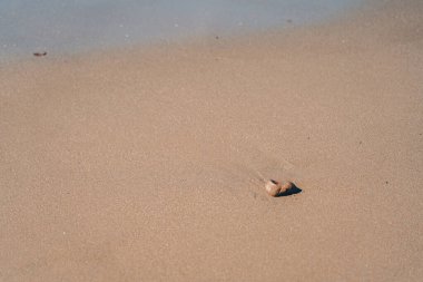 Sahildeki taş; doğal arka plan.