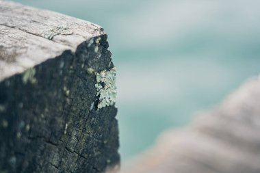 Deniz ve ahşap masanın arka planının dokusu