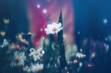 Dramatik çiçek arkaplanı; Doğa Arkaplanı
