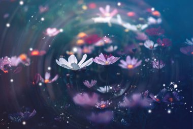 Dramatik çiçek arkaplanı; Doğa Arkaplanı